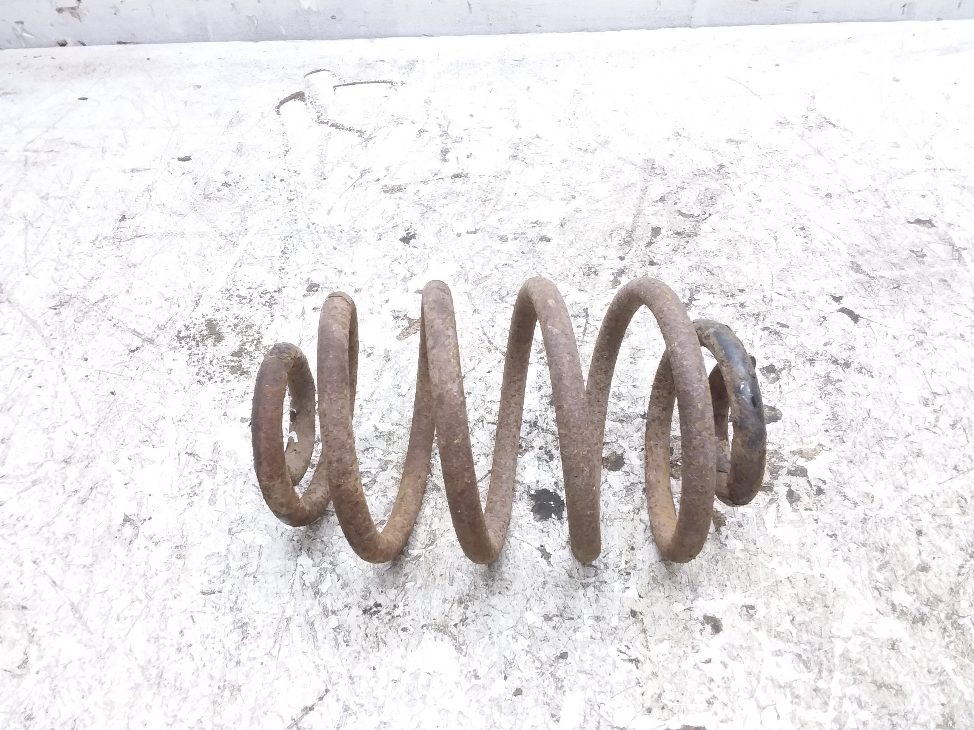 RENAULT Clio 2 generation (19982013) Rear Right Coil Spring 22966043