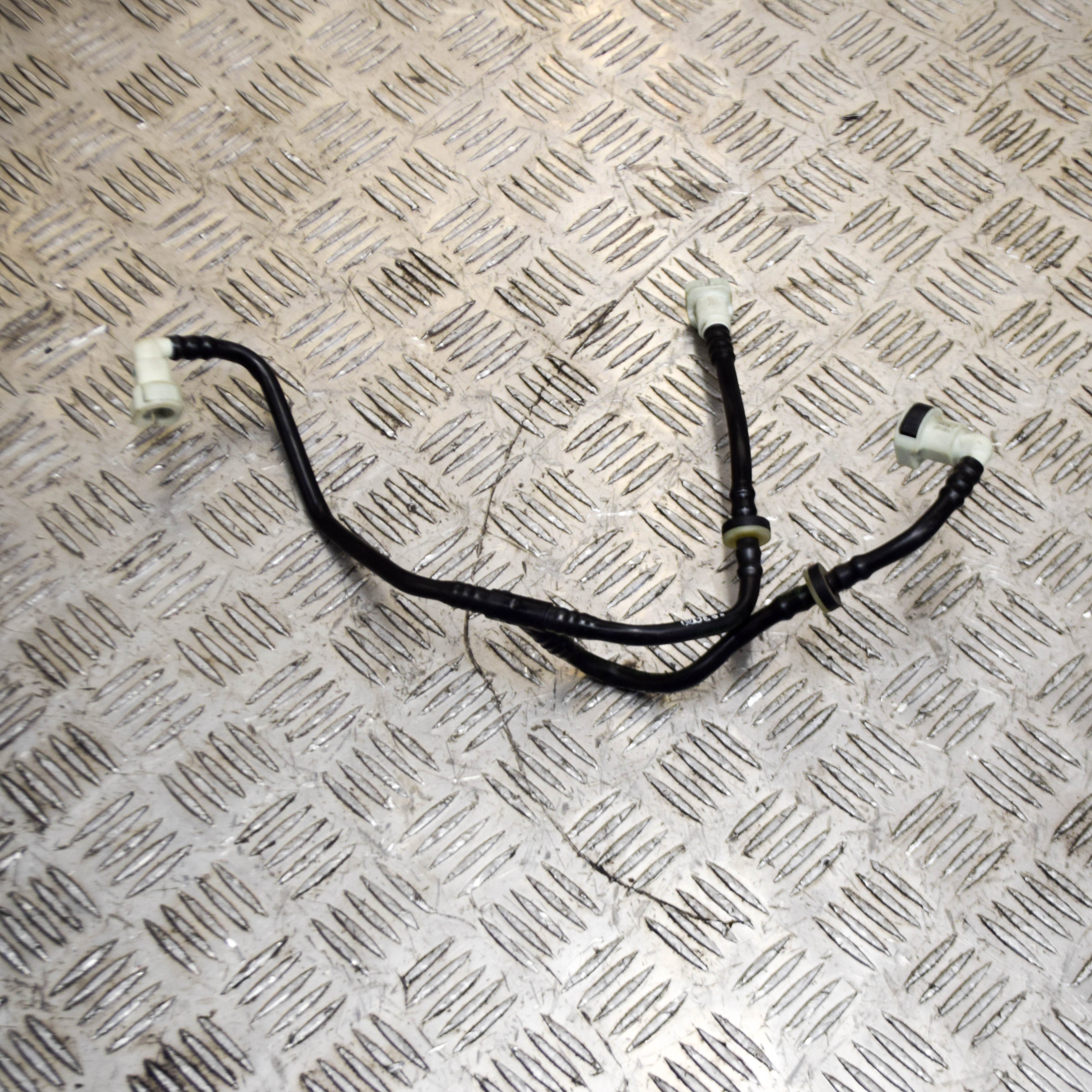 ルチア ルチア【SR】{104/096}