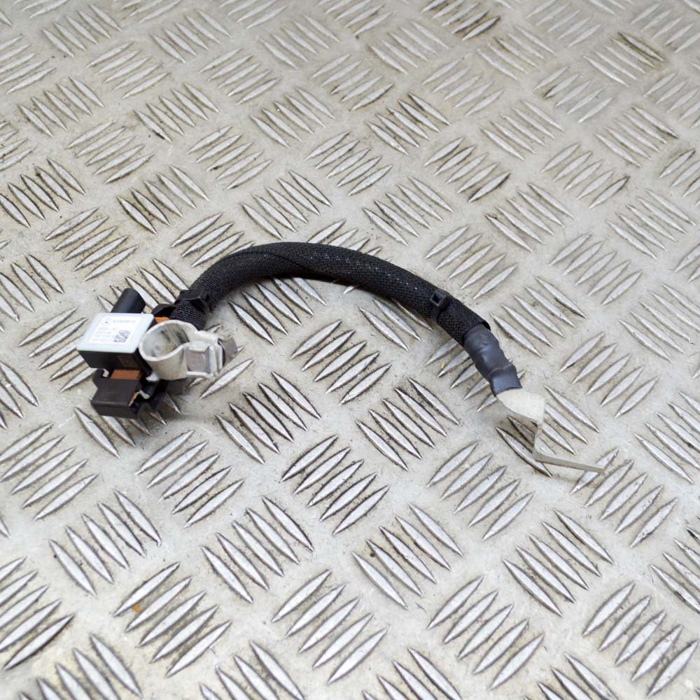 セイ Zooxae - Aquarium Supply Store | South Elgin IL