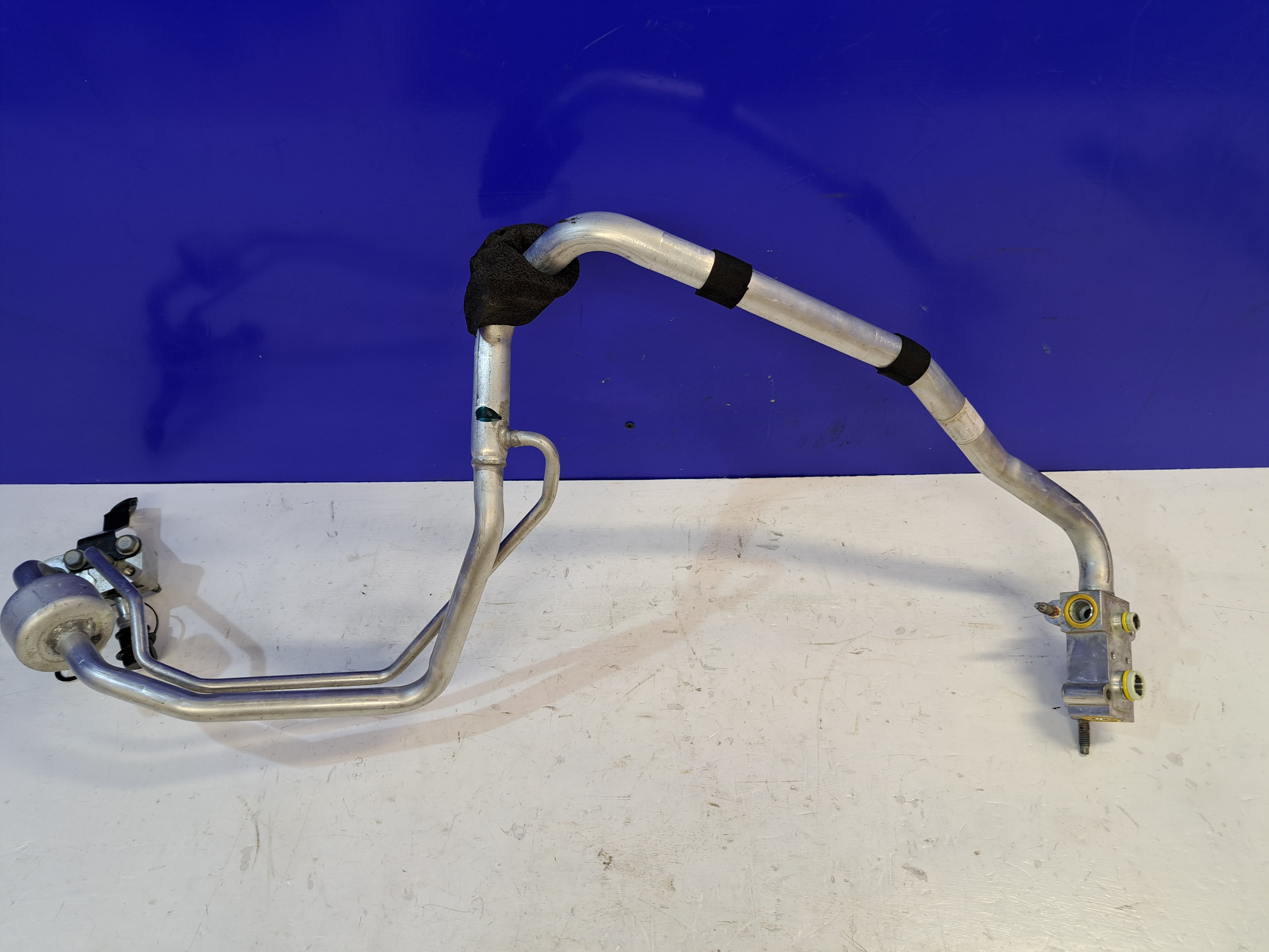 A.H.P.L. ハコニョロ　ahpl JD-